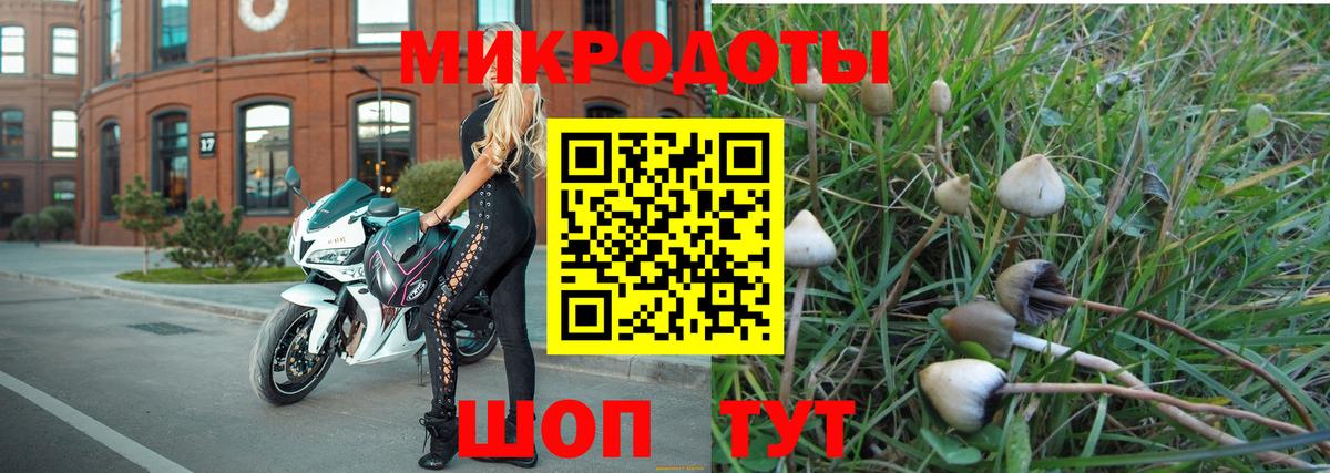 Галлюциногенные грибы мухоморы  Вход с VPN  Железногорск 